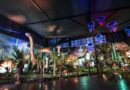 Llega una fabulosa exhibición internacional a Medellín Dinosaurios y Dragones Fantásticos