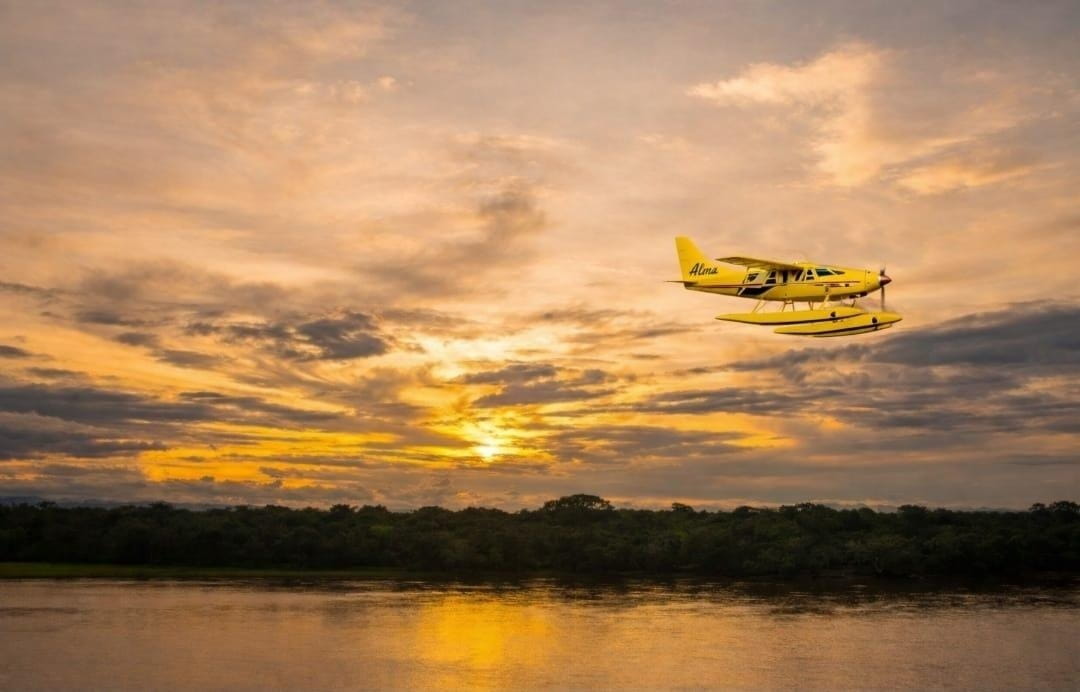 WhatsApp Image 2026 03 11 at 11.04.22 PM