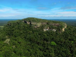 Guaviare impulsa la deforestación cero mediante una estrategia de bioeconomía