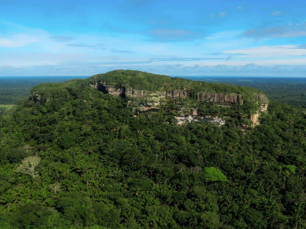 Guaviare impulsa la deforestación cero mediante una estrategia de bioeconomía