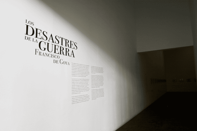Los desastres de la guerra de Francisco de Goya en Fragmentos