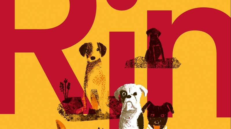 Ringo historia de un perro